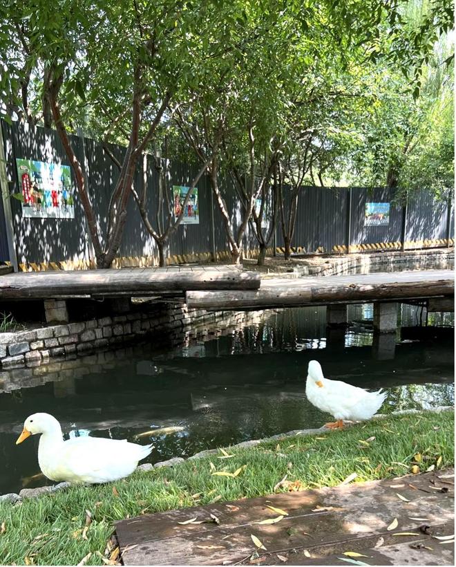 城藏着的“小江南”与浮生闲AG真人平台古三里河:京(图3) 城藏着的“小江南”与浮生闲AG真人平台古三里河:京(图3)