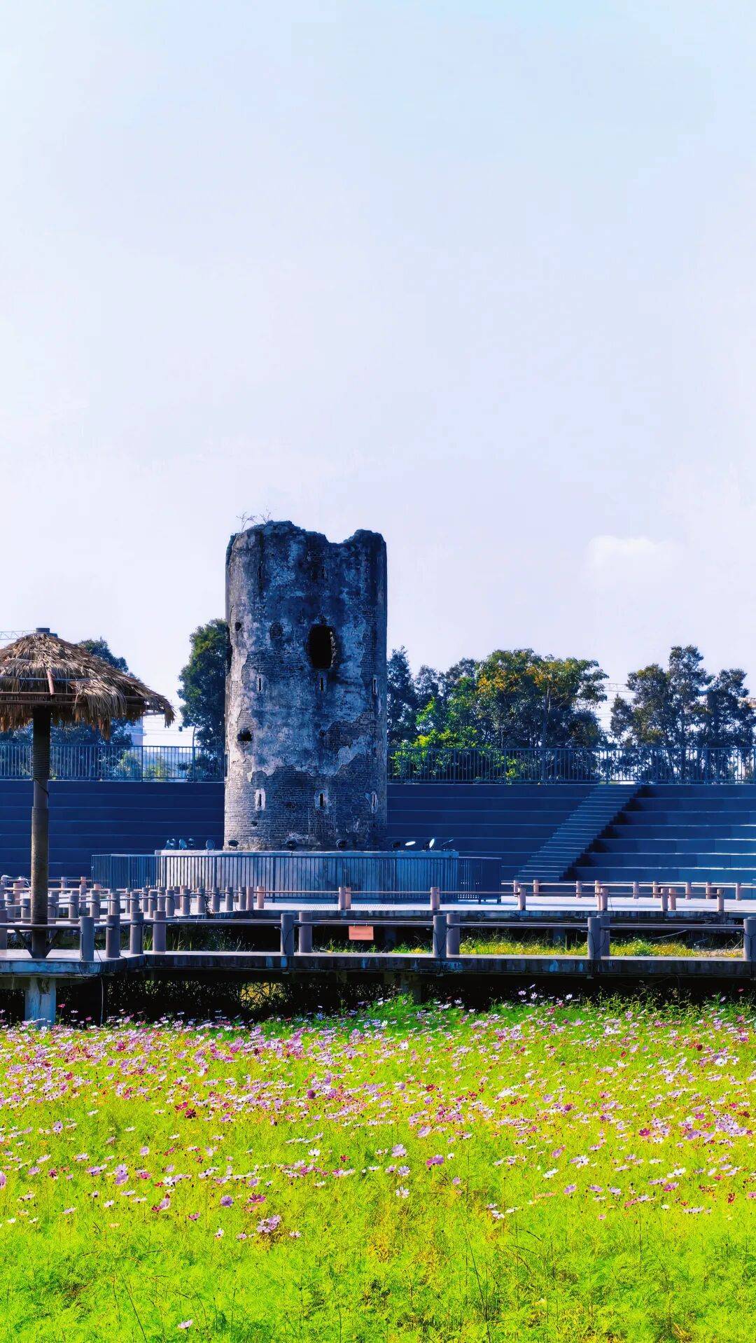 马年新春的第一杯咖啡请到中山南区喝！AG真人国际网站【来南区·过大年】(图2)